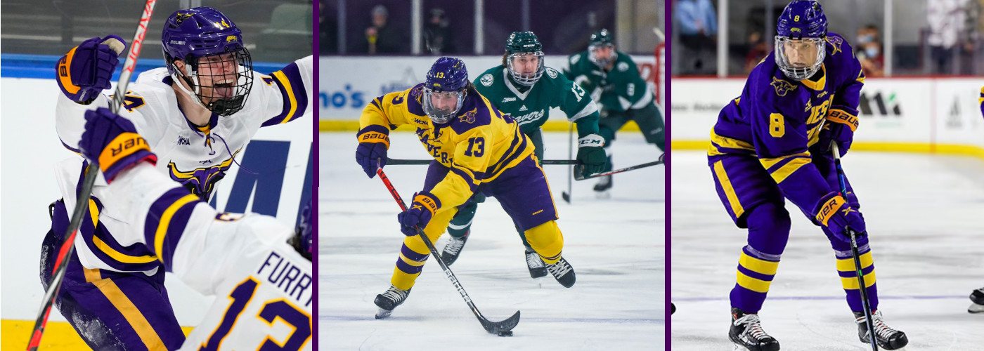 Minnesota State Mankato Mavericks Hockey Tickets